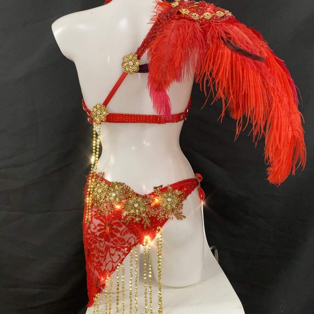 WBFF THEMEWEAR - Picture 2 of 3